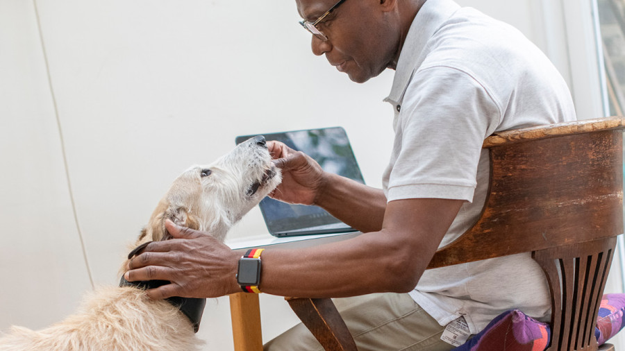 Man sitting on chair while giving dog a tablet